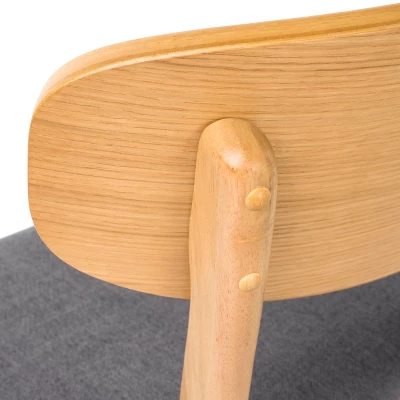 Set Of 2 Lucious Dining Chair - Christopher Knight Home 5 Set Of 2 Lucious Dining Chair - Christopher Knight Home - Image 3