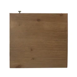 Pilster Contemporary End Table With Storage Walnut/Natural/Black - Christopher Knight Home -Christopher Knight Home GUEST 1ca7947d 4d33 494a 9765 9ce1778faaa6